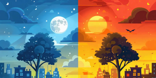 Morning and Evening