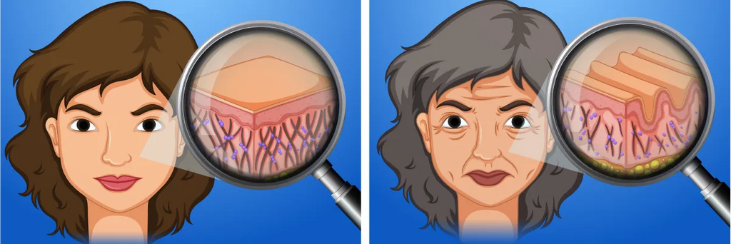 Red Light Therapy Before and After